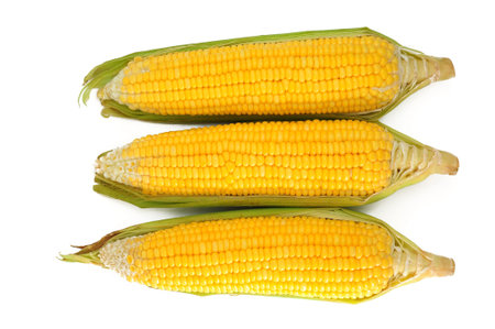 Corn