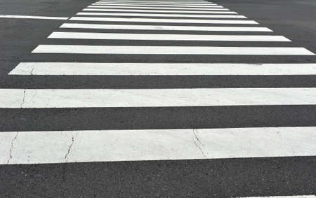 zebra crossingの写真素材