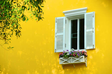 Window with flowerboxの写真素材