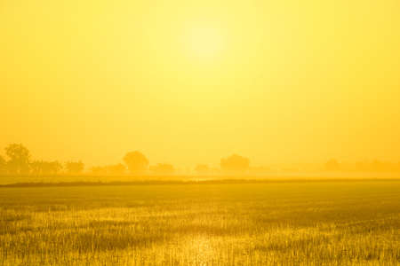 Mist Morning With Sunriseの写真素材