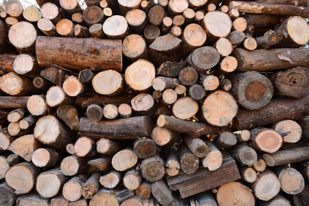 Wood stack background