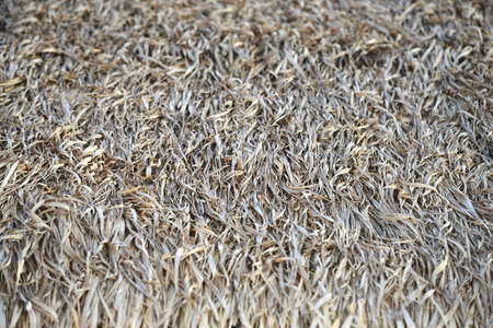 straw roofの写真素材
