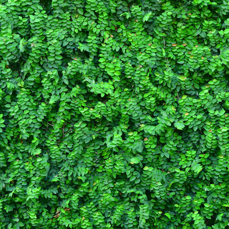 Ivy Background