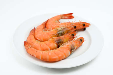 Shrimp on white plateの写真素材
