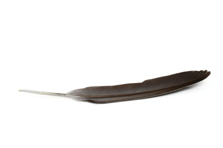 feather