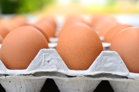 Eggs in a carton