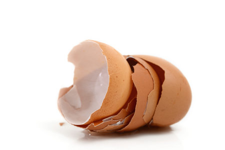 Eggshells