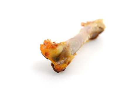 Chicken Leg Boneの写真素材