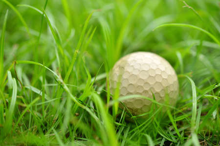 Golf ball in the roughの写真素材