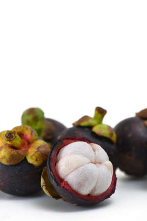 mangosteen on white backgroundの写真素材