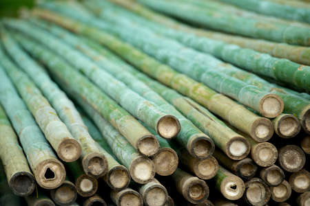 bamboos stackの写真素材