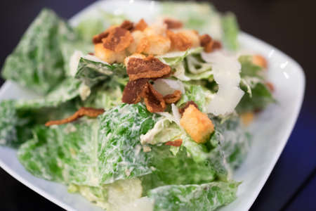 caesar saladの写真素材