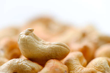 cashews nutの写真素材