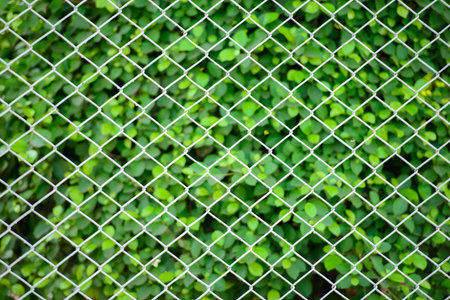 mesh fence