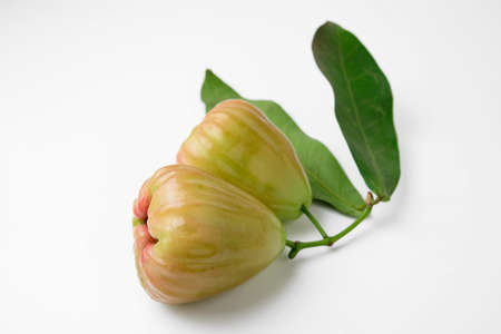 rose apple isolated on white backgroundの写真素材