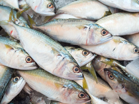 Mackerel fish in market