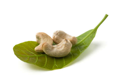 cashew with leavesの写真素材