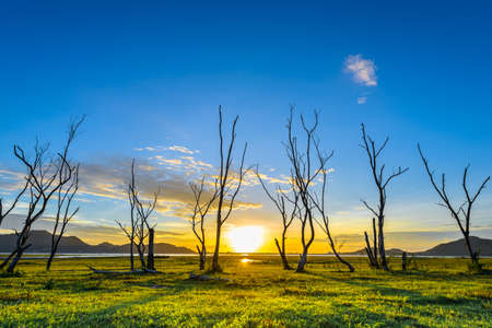 Sunset of Bangpra Lake in Chonburi Province, Thailandの写真素材