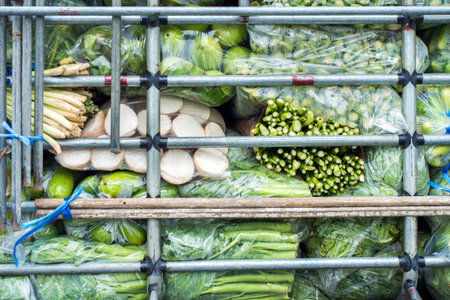 fresh vegetables in cage for transportsの写真素材
