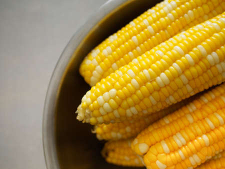 fresh cornの写真素材