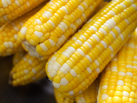 fresh corn