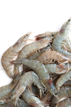 raw shrimp on white backgroundの写真素材