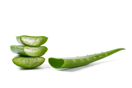 aloe veraの写真素材