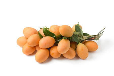 yellow marian plum fruit
