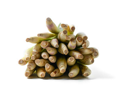 lemon grass bundle isolated on whiteの写真素材
