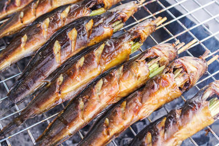 grilled walking catfish on stoveの写真素材