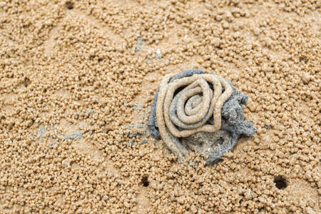 crabs holes on the beach with sand heapの写真素材