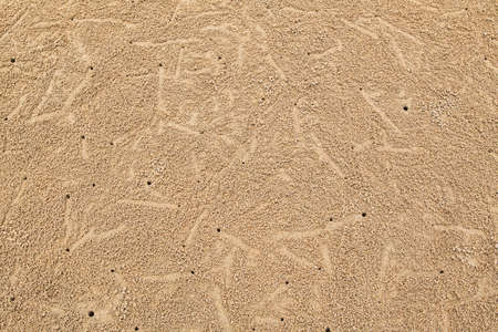 crabs holes on the beachの写真素材