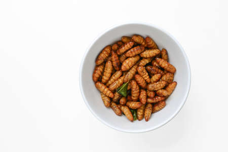 fried insects in cup isolated on whiteの写真素材