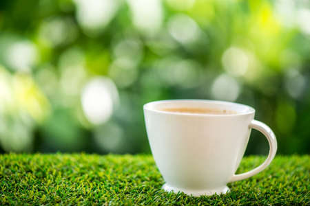 coffee cup on grass floorの写真素材