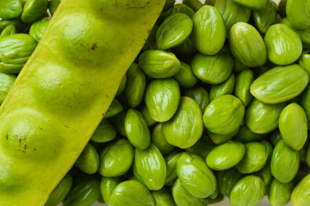 parkia speciosa heapの写真素材