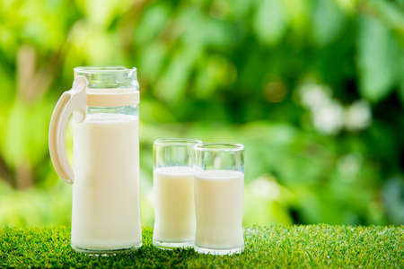 milk jug with glass on grass with nature backgroundの写真素材
