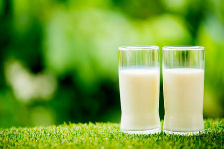 milk glass on grass with nature backgroundの写真素材