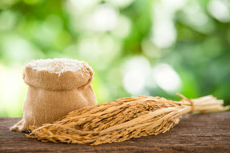 white rice in burlap sack with rice grainの写真素材