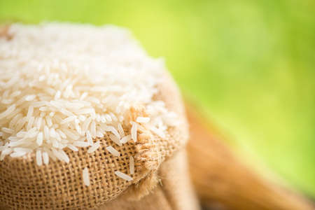 white rice in burlap sack with rice grainの写真素材