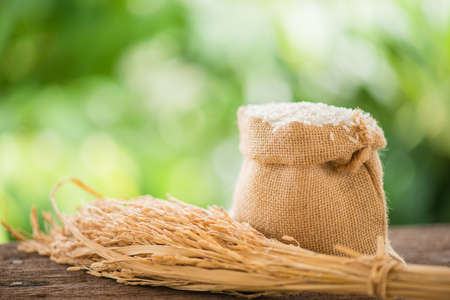 white rice in burlap sack with rice grainの写真素材