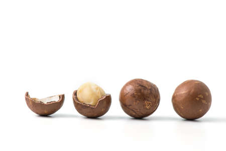 row of macadamia nuts on white backgroundの写真素材