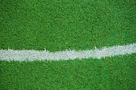 grass field of soccer field