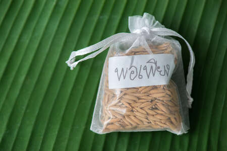 thai paddy rice with alphabet thai tag is sufficient of thai king philosophyの写真素材