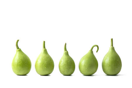 bottle gourd or calabash isolated on whiteの写真素材