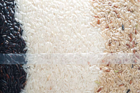 jasmine rice and brown rice and rice berries in vacuum bagの写真素材
