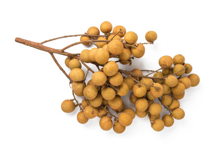 fresh longan on white background