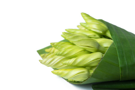 moon flower Ipomoea albaの写真素材