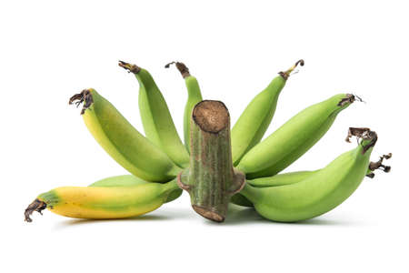 green bananas isolated on white backgroundの写真素材