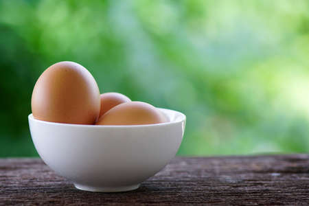 eggs in white cupの写真素材