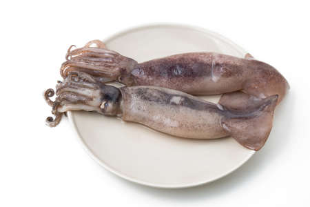 fresh squid isolated on whiteの写真素材